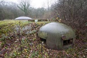 Ligne Maginot - MICHELSBERG - A22 - (Ouvrage d'artillerie) - Bloc 5
Cloche GFM 
