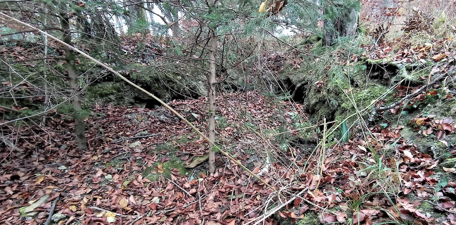 Ligne Maginot - FM7 - SCHMELTZBACH 13 - (Blockhaus pour arme infanterie) - Décaissement à proximité de la position  - Baptiste GAUDIN