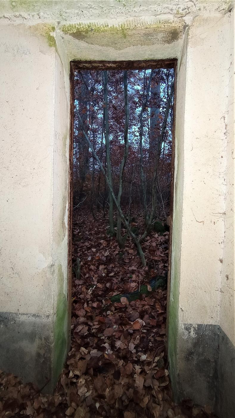 Ligne Maginot - FM - ZIEGELMATT NORD - (Blockhaus pour arme infanterie) - L'entrée  - Baptiste GAUDIN