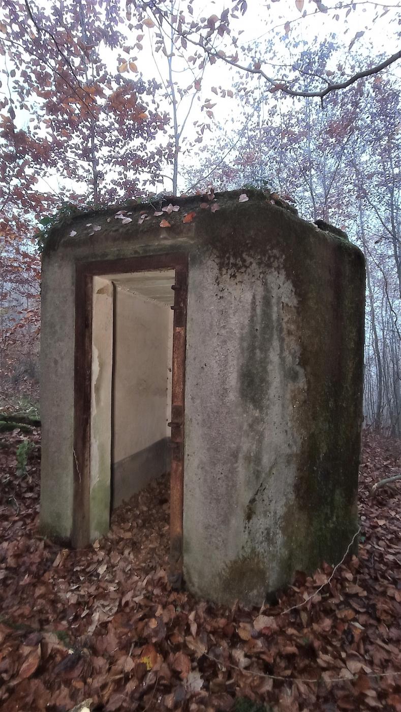 Ligne Maginot - FM - ZIEGELMATT NORD - (Blockhaus pour arme infanterie) - L'entrée - Baptiste GAUDIN