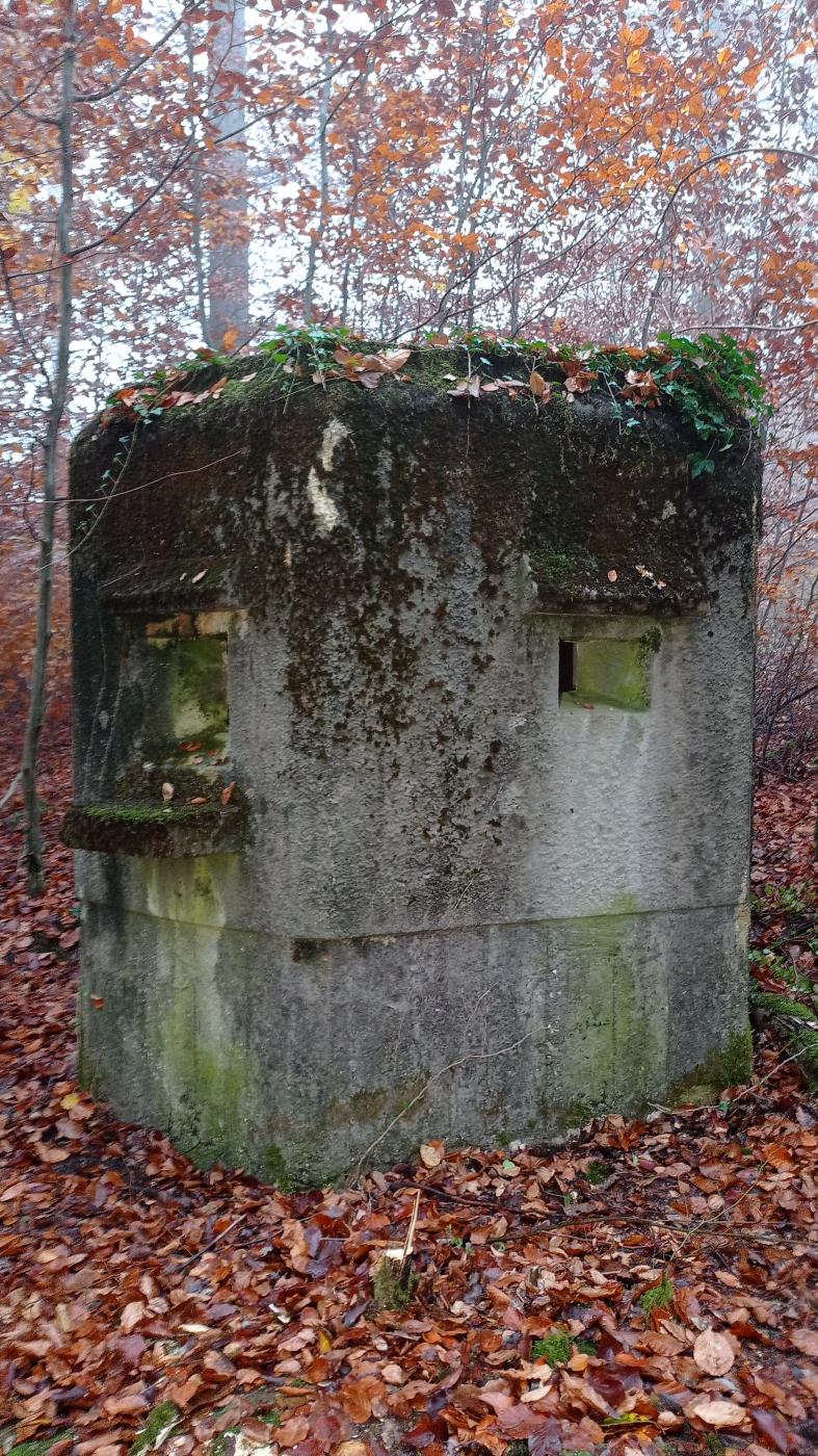 Ligne Maginot - FM - ZIEGELMATT NORD - (Blockhaus pour arme infanterie) - Façade frontale - Baptiste GAUDIN