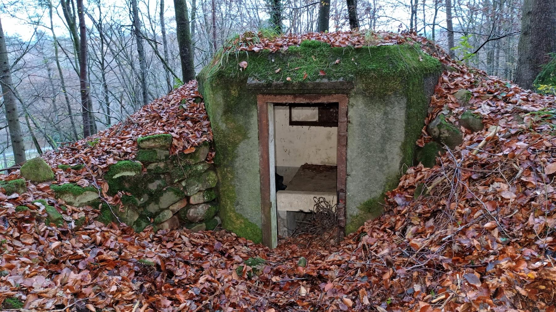 Ligne Maginot - M3 - HELIENBRUCK 3 - (Blockhaus pour arme infanterie) - Entrée  - Baptiste Gaudin