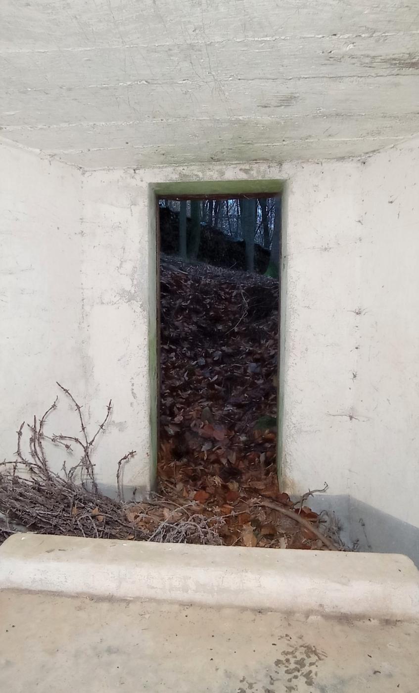 Ligne Maginot - M3 - HELIENBRUCK 3 - (Blockhaus pour arme infanterie) - Entrée  - Baptiste Gaudin