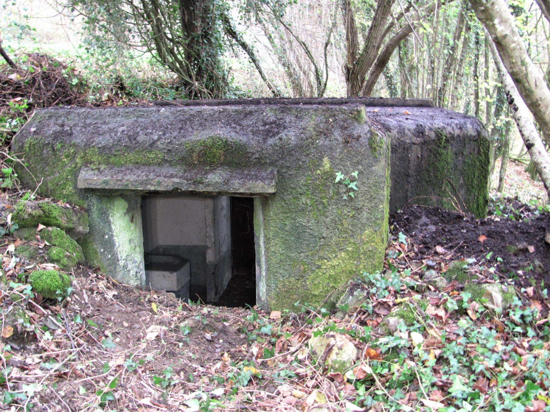 Ligne Maginot - C5 - HELIENBRUCK 1 - (Blockhaus pour canon) - Créneau pour canon de 25 mm - Baptiste Gaudin