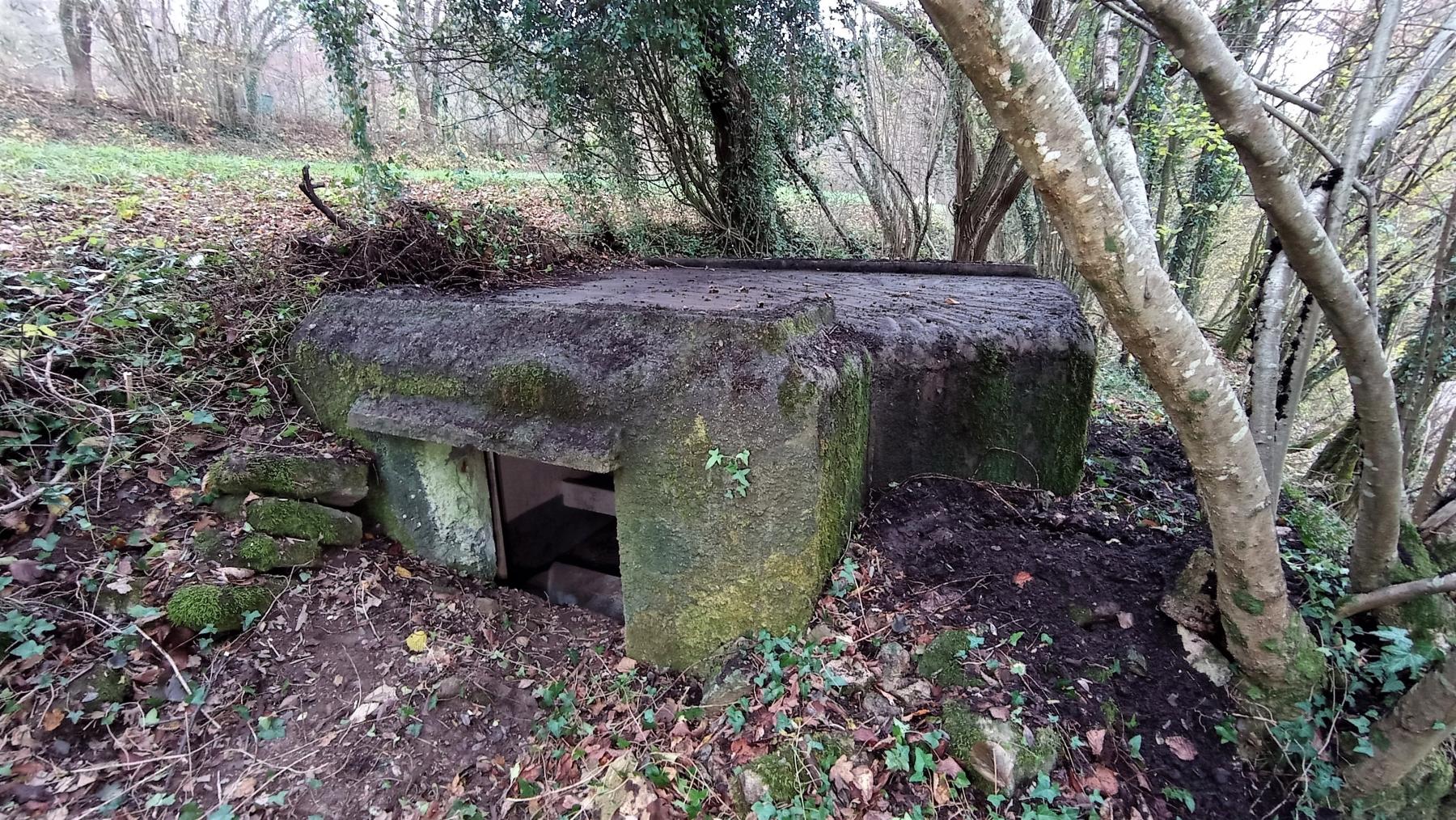 Ligne Maginot - C5 - HELIENBRUCK 1 - (Blockhaus pour canon) - Créneau pour canon de 25 mm - Baptiste Gaudin