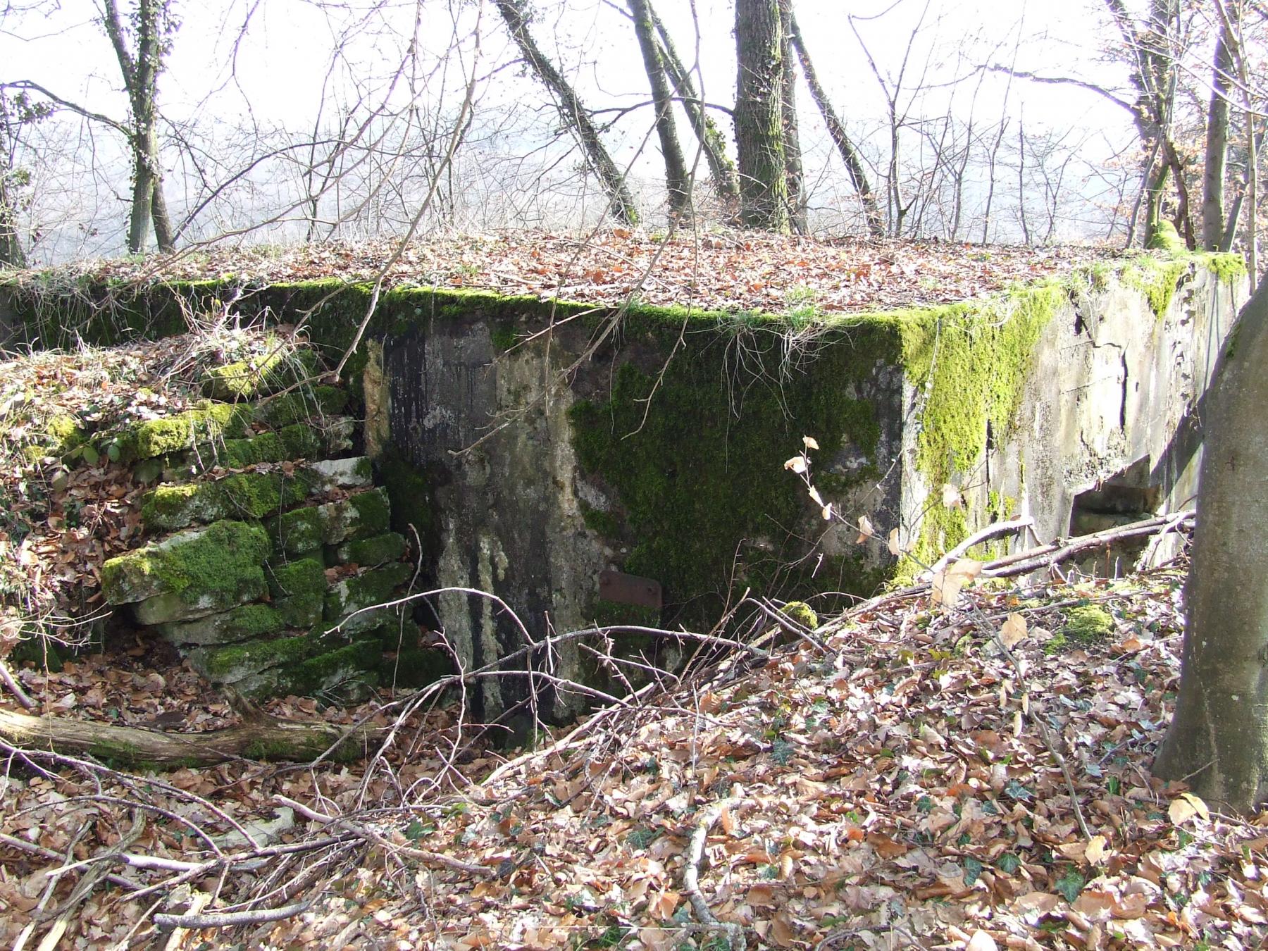 Ligne Maginot - AB5 - (Blockhaus pour canon) - L'arrière du blockhaus. - STENGER Mathieu