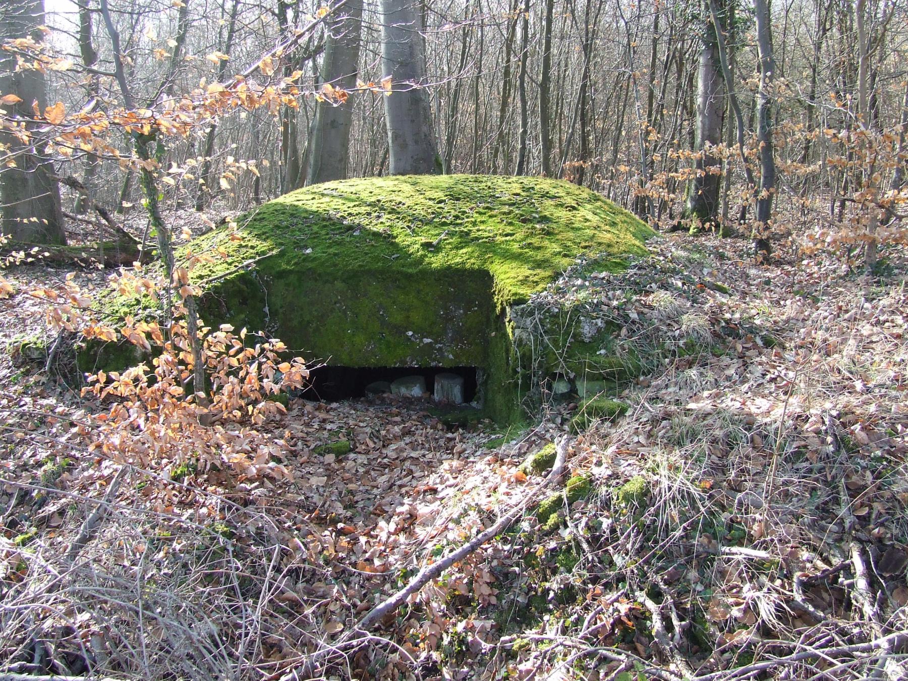 Ligne Maginot - AB5-III - (Observatoire indéterminé) - L'observatoire en 2013. - STENGER Mathieu