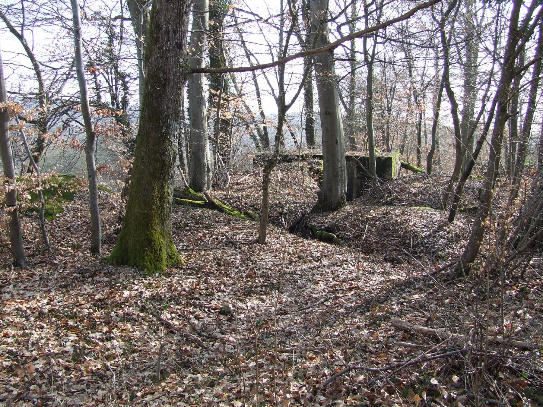 Ligne Maginot - AB5-III - (Observatoire indéterminé) - Une vue du PA : L'observatoire est à gauche, le blockhaus canon à droite. - STENGER Mathieu
