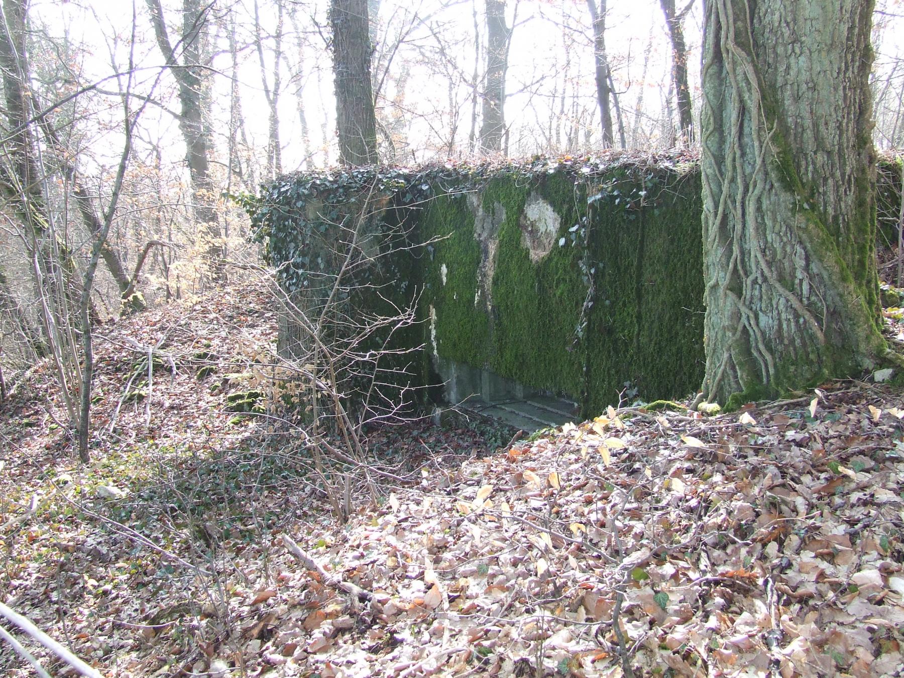 Ligne Maginot - AB5 - (Blockhaus pour canon) - La façade de tir. - STENGER Mathieu