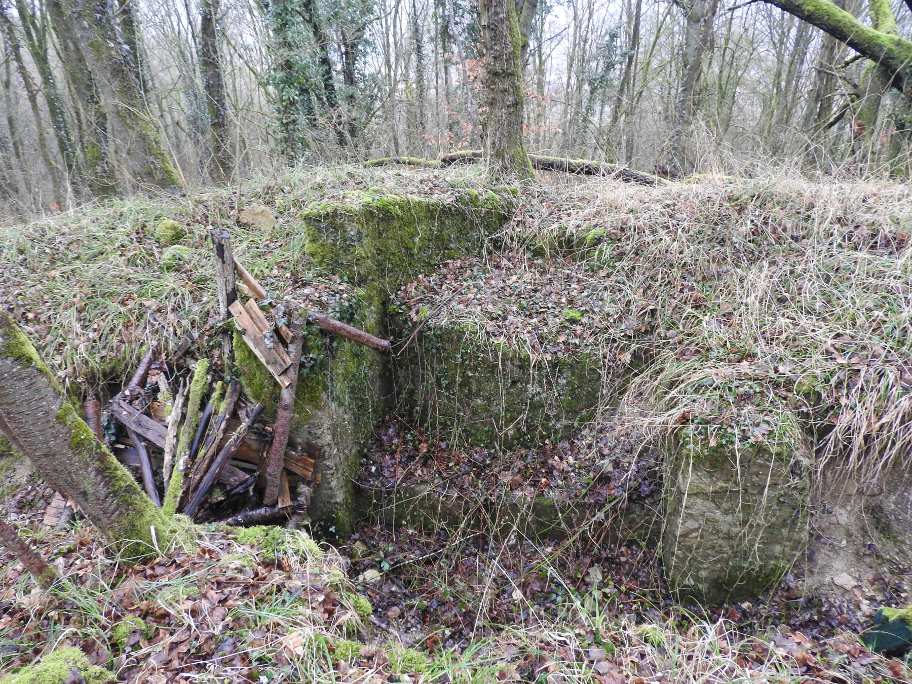 Ligne Maginot - GUNGLINGERBERG 3 - (Cuve pour arme d'infanterie) - Un poste de tir bétonné pour FM. - STENGER Mathieu