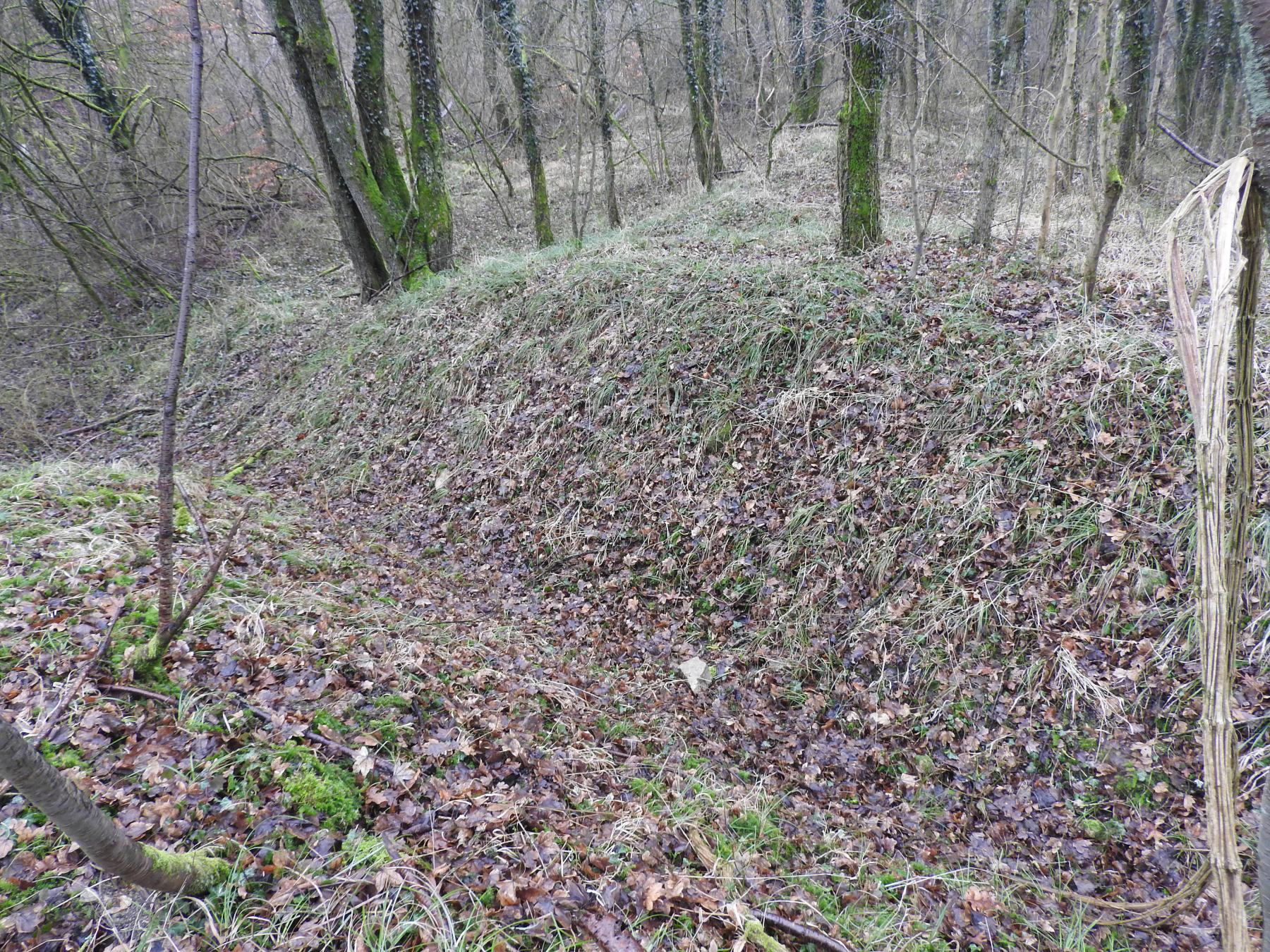 Ligne Maginot - GUNGLINGERBERG 3 - (Cuve pour arme d'infanterie) - La tranchée qui longe la crête et relit les plates-formes 3 et 4. - STENGER Mathieu