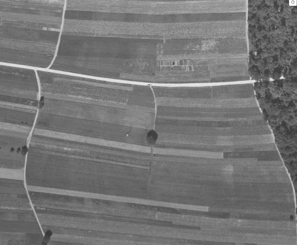 Ligne Maginot - ROUTE de NEUHOF Ouest 1 - (Blockhaus pour arme infanterie) - Photographie de 1951 - IGN - Géoportail 1951