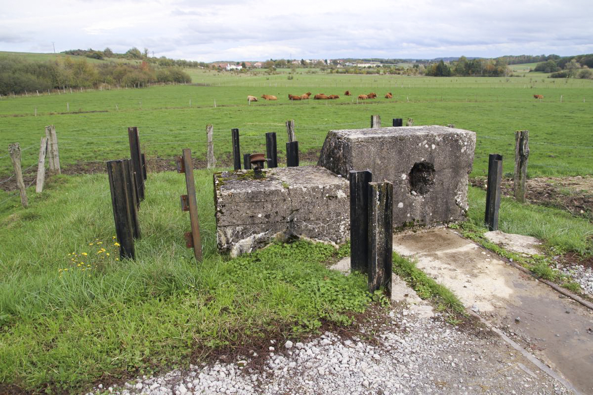 Ligne Maginot - BARST - (Barrage de Route) -  - Michel et Philippe Zimmer