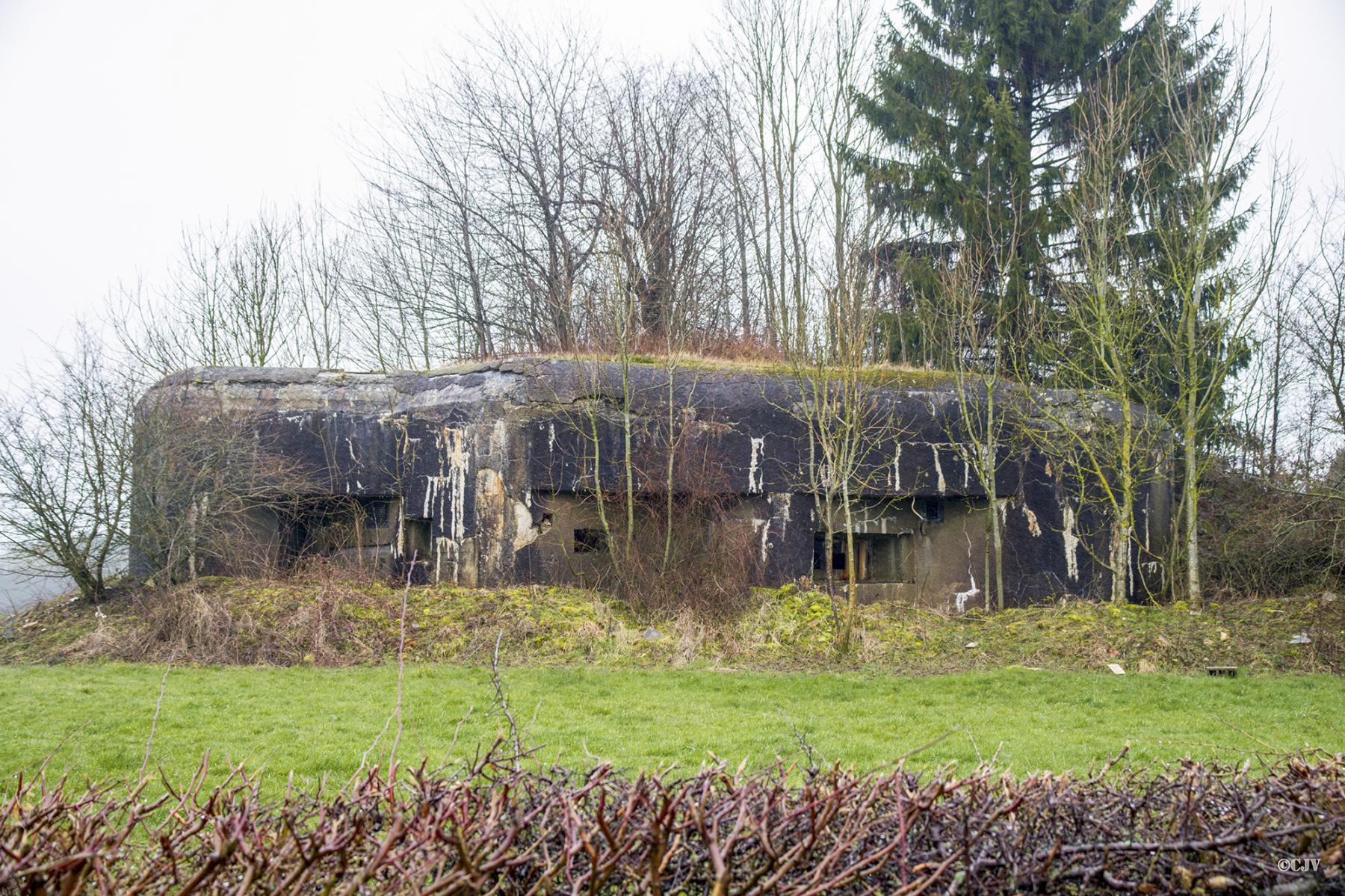 Ligne Maginot - A117 - PASSE D'ANOR - (Blockhaus pour canon) -  - Lia VERMEULEN