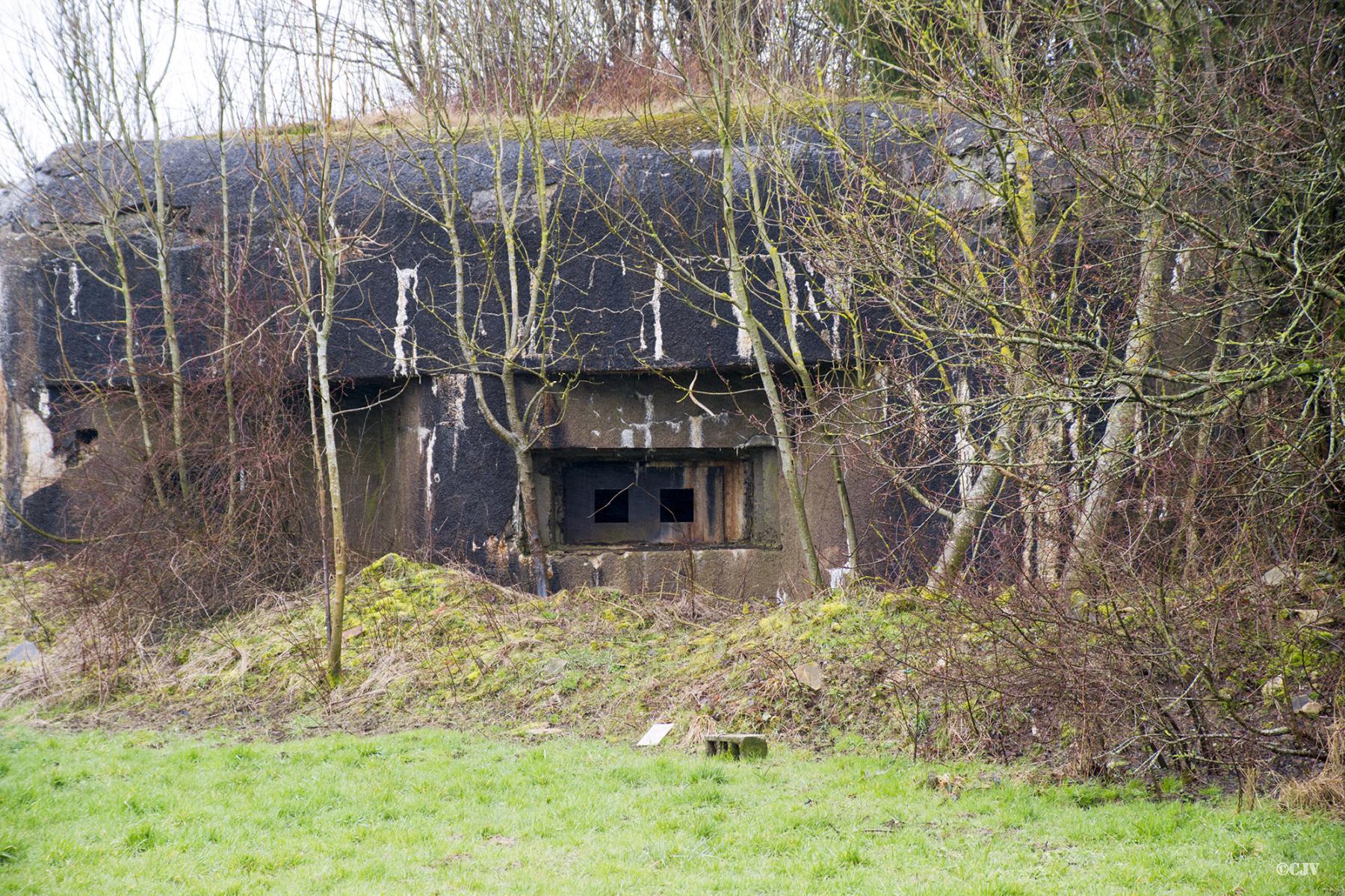 Ligne Maginot - A117 - PASSE D'ANOR - (Blockhaus pour canon) - Le plaque de blindage du créneau est spécial - Lia VERMEULEN