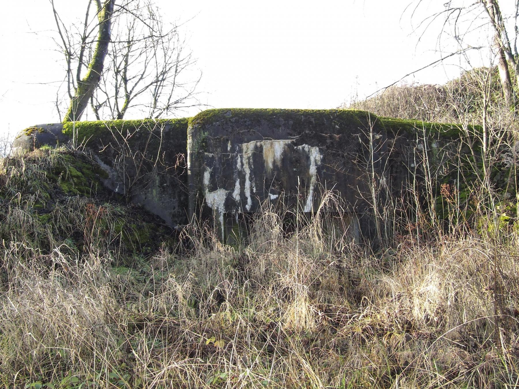 Ligne Maginot - AB7 - (Blockhaus pour canon) - Façade de tir du canon de 47 en 2012. - STENGER Mathieu