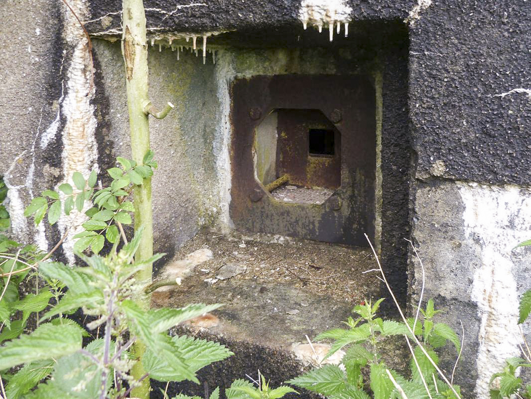 Ligne Maginot - A117 - PASSE D'ANOR - (Blockhaus pour canon) - Défense entrées - FM - JMBrams