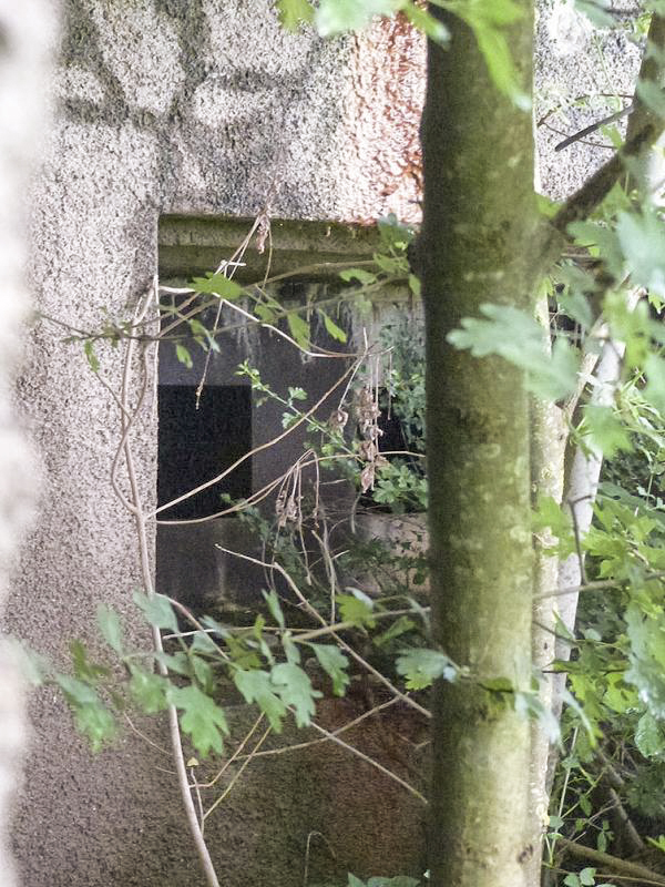 Ligne Maginot - A117 - PASSE D'ANOR - (Blockhaus pour canon) - Flanquement Ouest
Embrasure Mi/canon AC - JMBrams