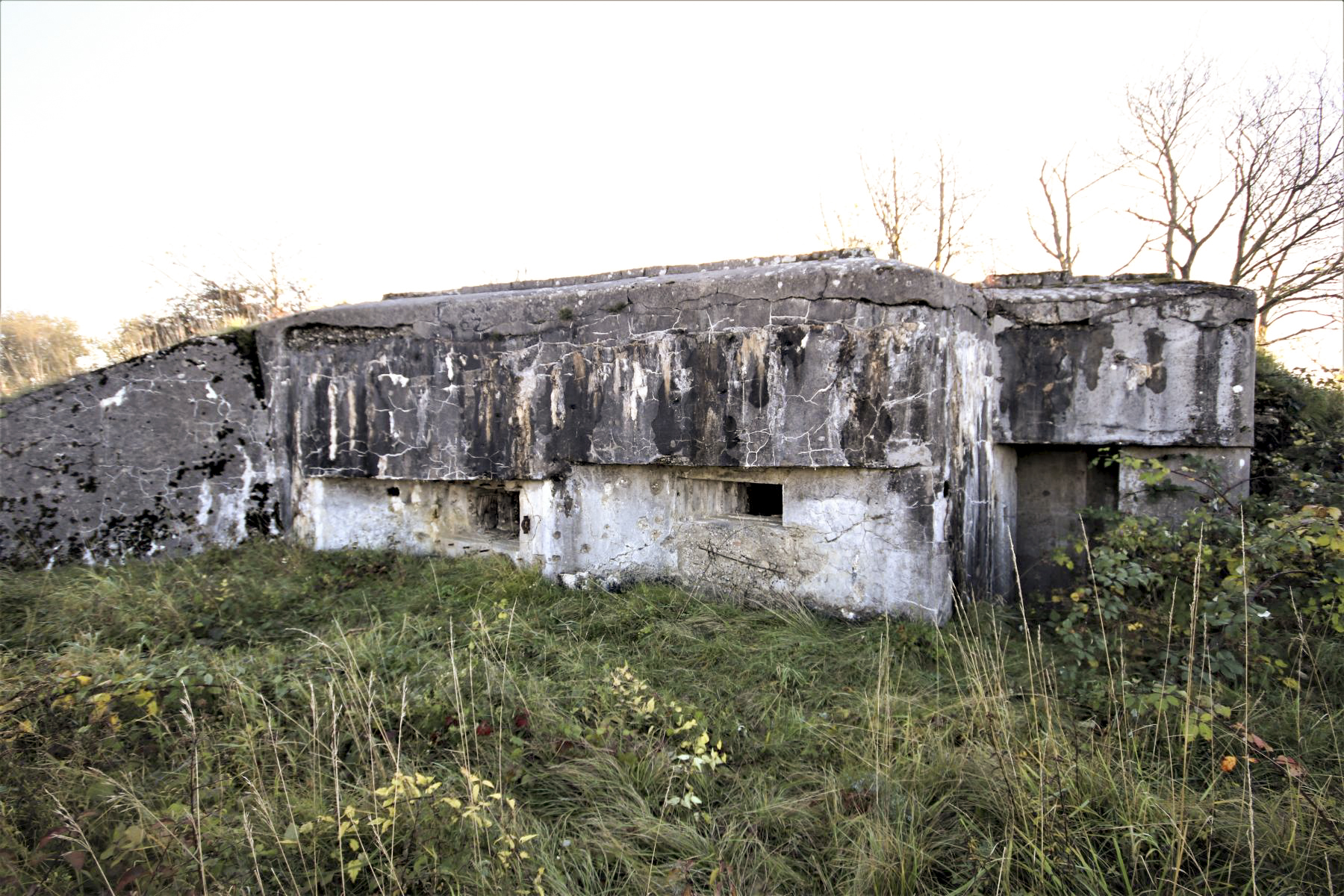 Ligne Maginot - AB28 - (Blockhaus pour canon) - Vue générale - Michel & Philippe ZIMMER