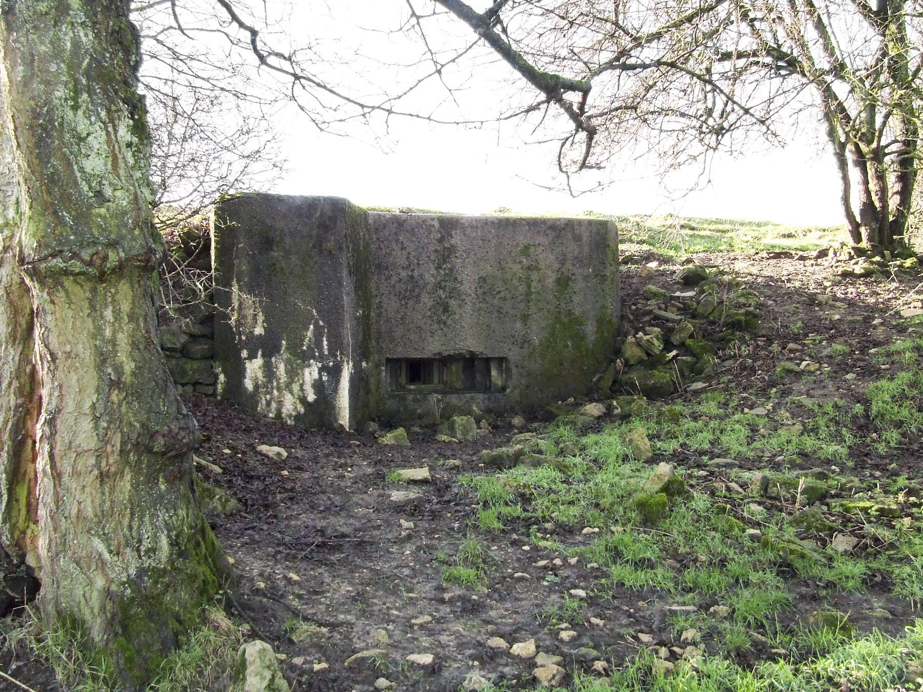 Ligne Maginot - AB7-D - BRANDSTUDEN  2 - (Blockhaus pour arme infanterie) - Le blockhaus - STENGER Mathieu