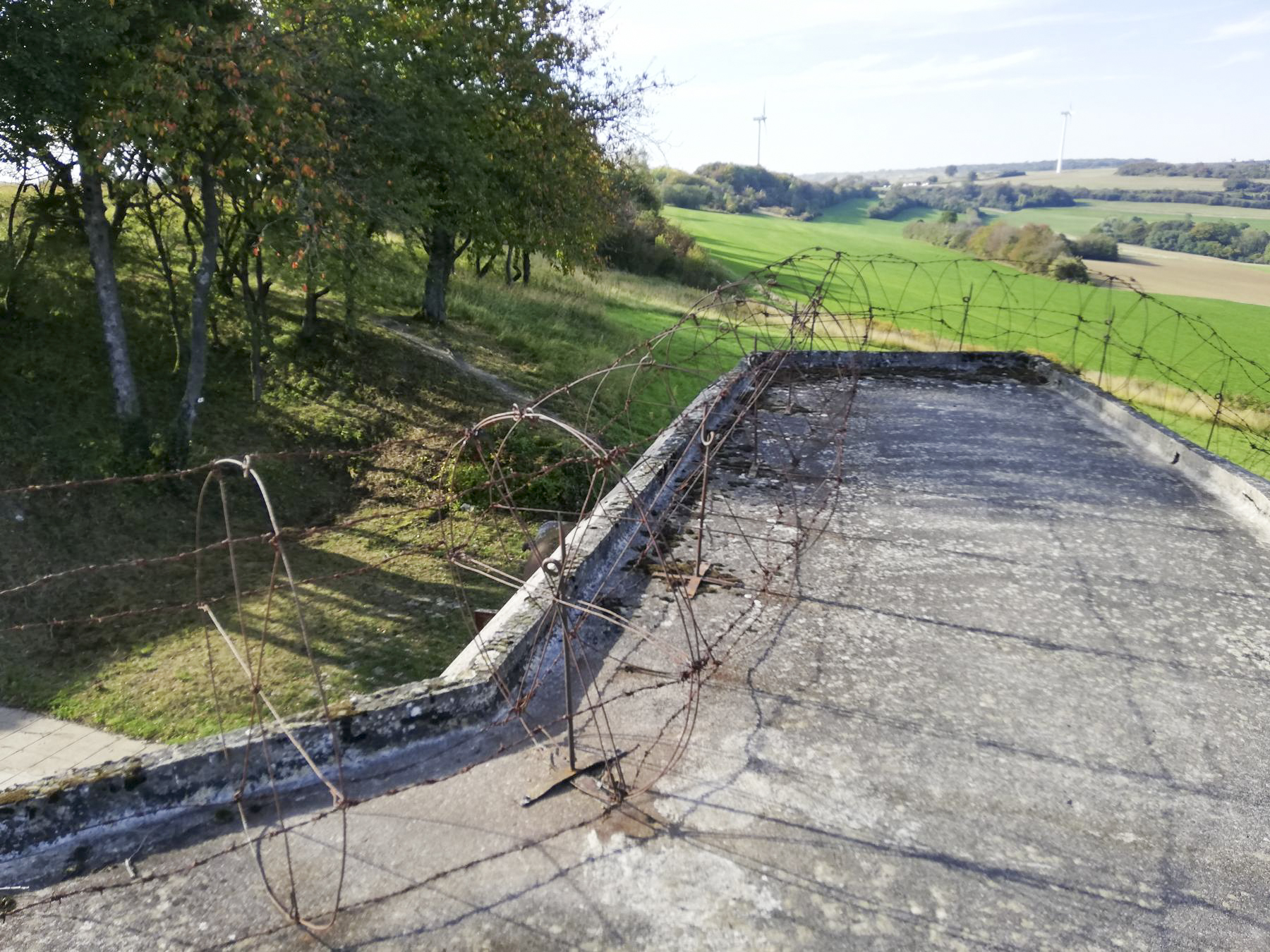 Ligne Maginot - EINSELING - A36 - (Ouvrage d'infanterie) - Barbelés sur la dalle de la chambre de tir - Blackmamba73
