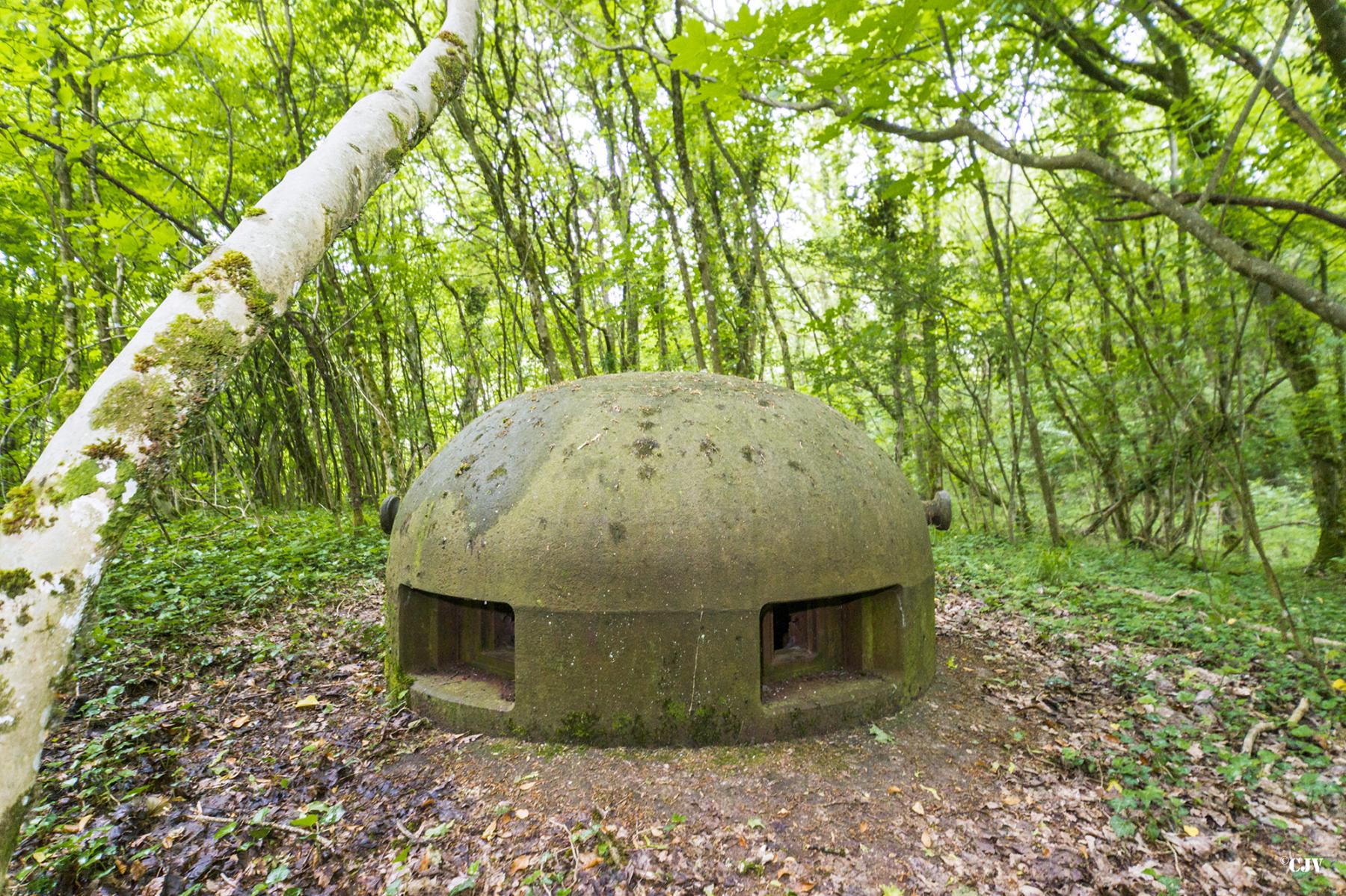 Ligne Maginot - TETING - A38 - (Ouvrage d'infanterie) - Bloc 1 - Lia VERMEULEN