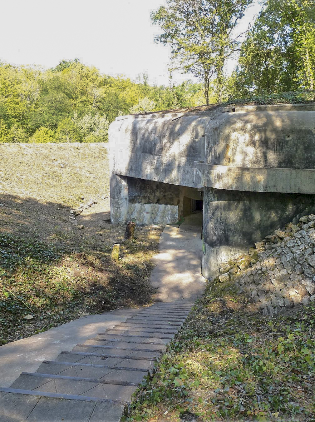Ligne Maginot - TETING - A38 - (Ouvrage d'infanterie) - Bloc 1 - Sylvie Laure LAMBERT