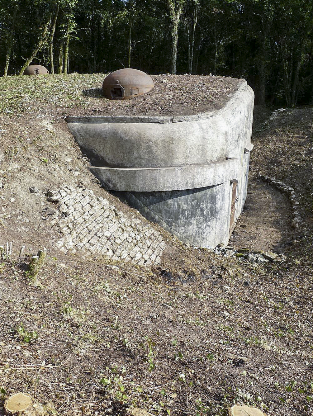 Ligne Maginot - TETING - A38 - (Ouvrage d'infanterie) - Bloc 1 - Sylvie Laure LAMBERT