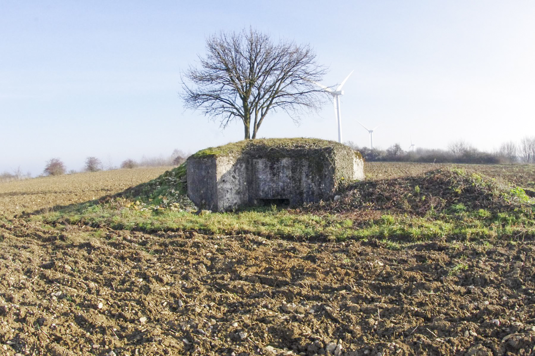 Ligne Maginot - EINSELING NORD - (Blockhaus pour arme infanterie) -  - STENGER Mathieu