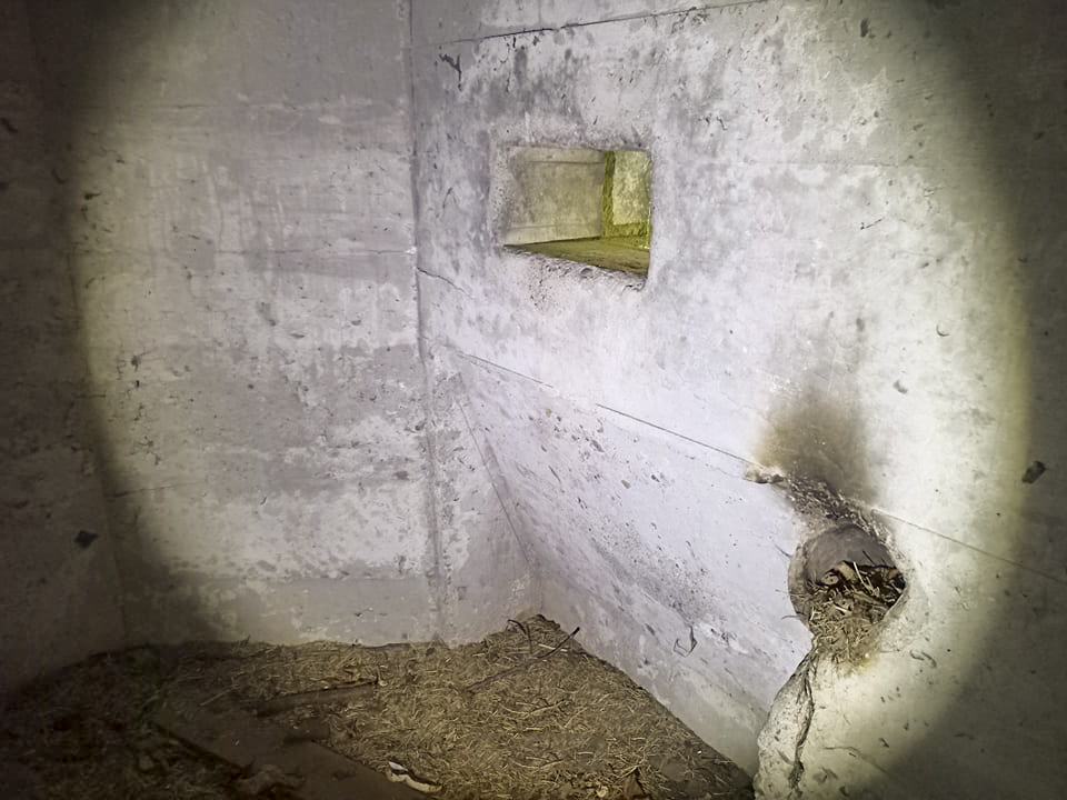 Ligne Maginot - GISSENHEIMER BANN - (Blockhaus pour arme infanterie) -  - Arthur