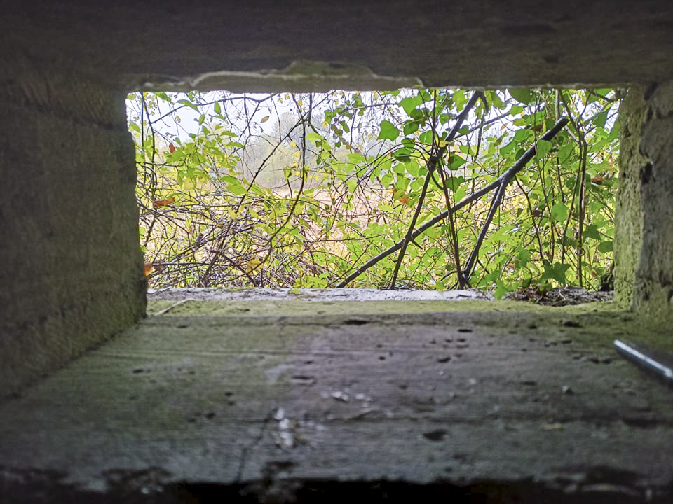 Ligne Maginot - GISSENHEIMER BANN - (Blockhaus pour arme infanterie) -  - Arthur