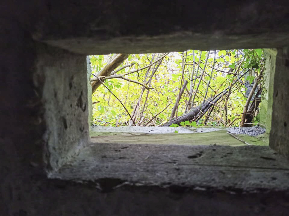 Ligne Maginot - GISSENHEIMER BANN - (Blockhaus pour arme infanterie) -  - Arthur