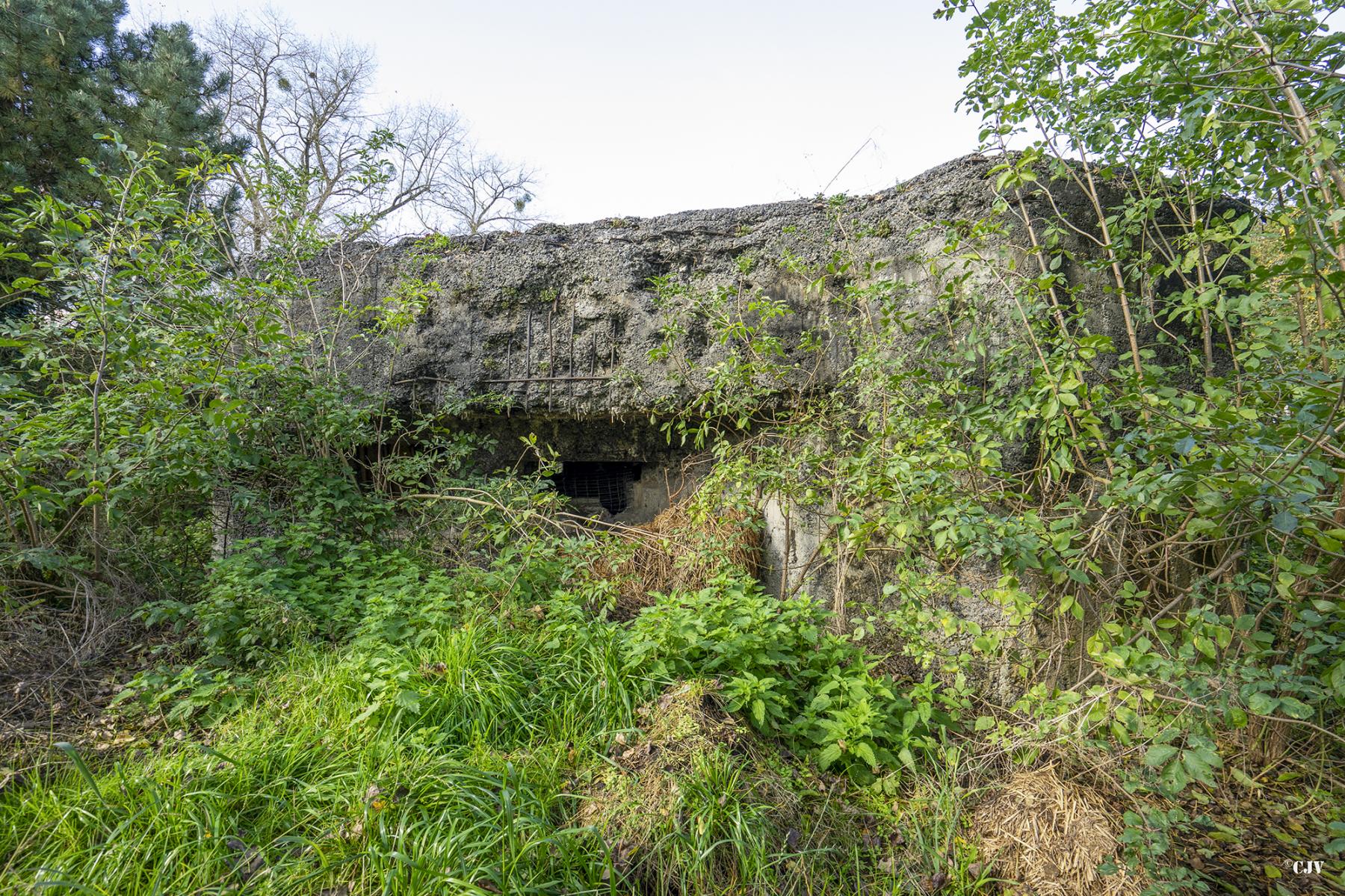 Ligne Maginot - A68 - OEILLET - (Blockhaus lourd type STG / STG-FCR - Double) - Les créneaux sud-est - Lia VERMEULEN