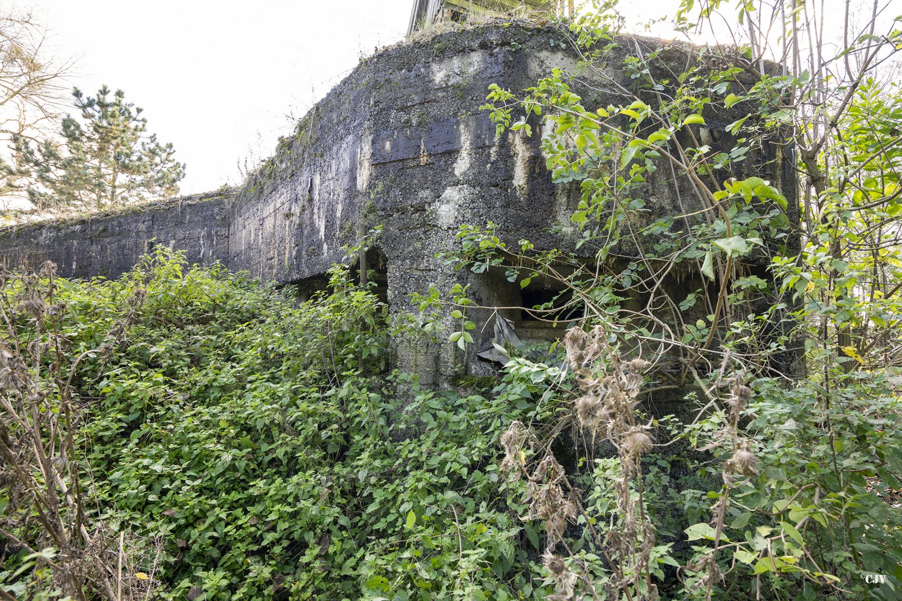 Ligne Maginot - A68 - OEILLET - (Blockhaus lourd type STG / STG-FCR - Double) - Les créneaux d'observation - Lia VERMEULEN