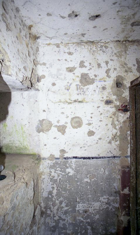 Ligne Maginot - CREVECOEUR - (Casemate d'infanterie - double) -  - Valentin Hemmert