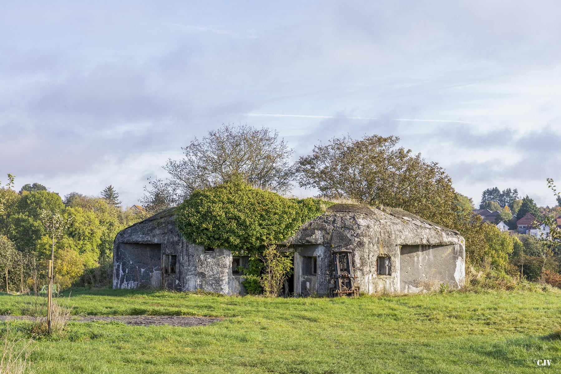 Ligne Maginot - B512 - WARGNIES LE GRAND OUEST - (Blockhaus pour canon) - Le blockhaus dans son environnement - Lia VERMEULEN
