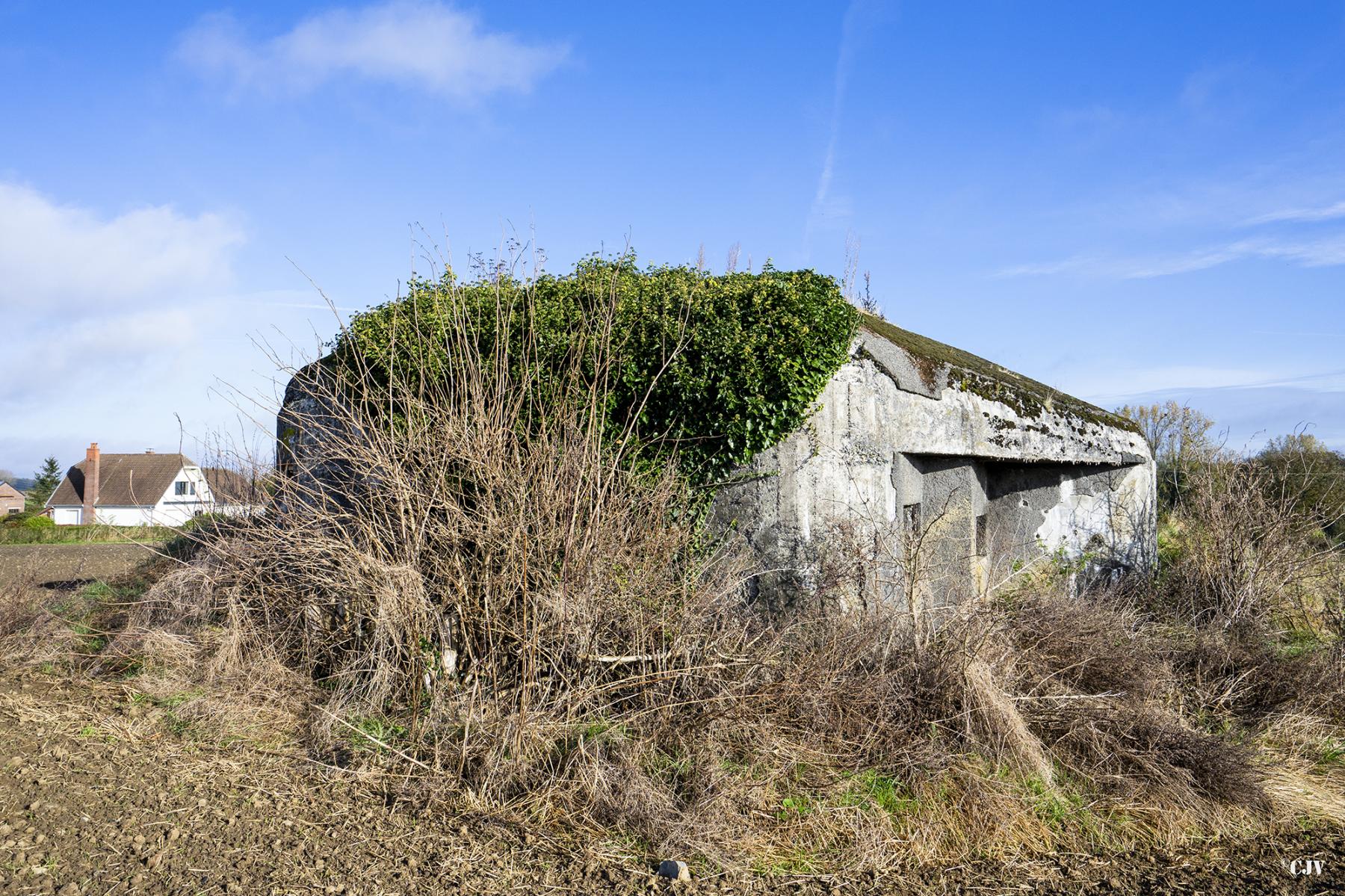 Ligne Maginot - B516 - STATION DE WARGNIES - (Blockhaus pour canon) - Vue générale - Lia VERMEULEN