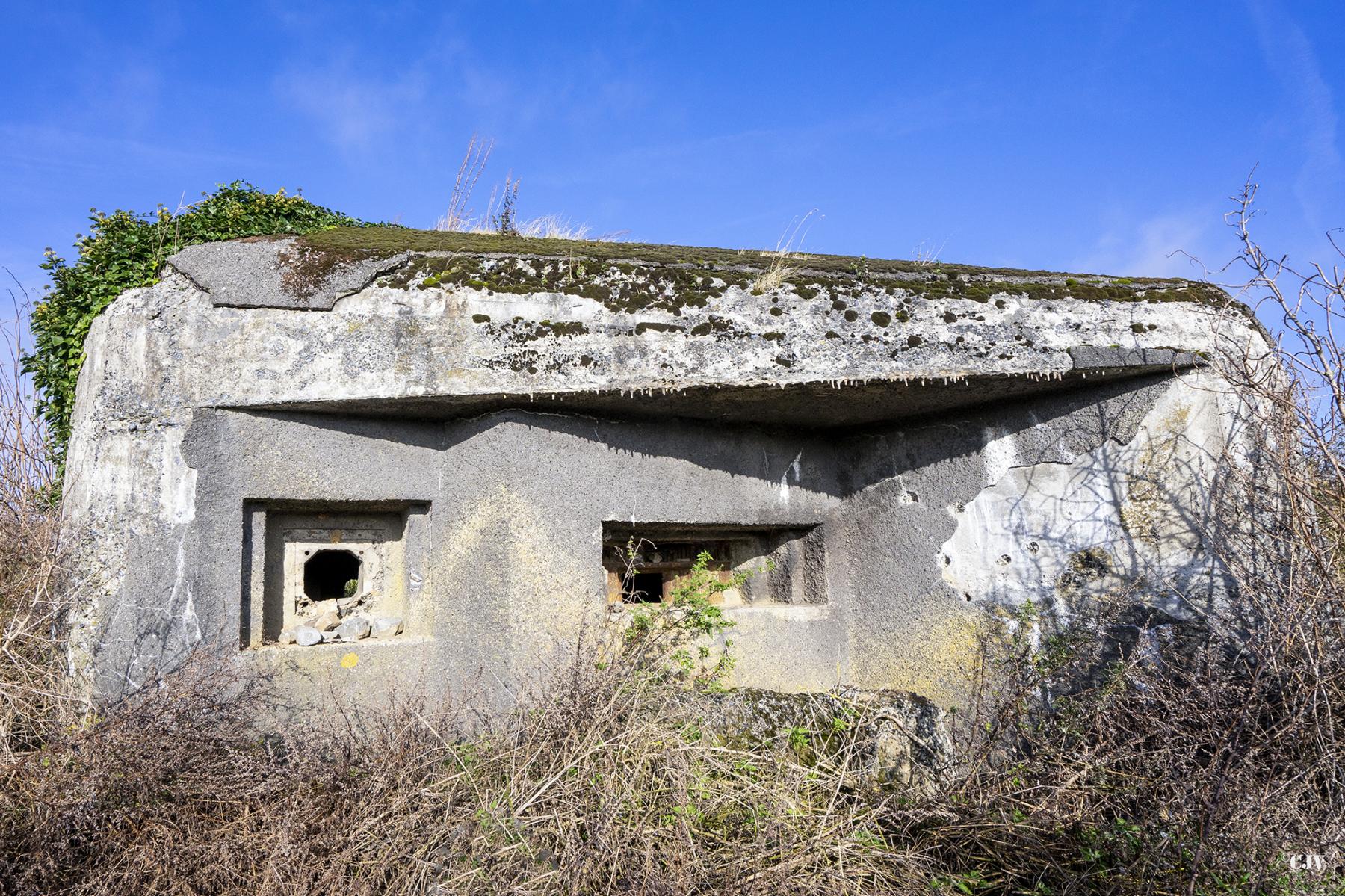 Ligne Maginot - B516 - STATION DE WARGNIES - (Blockhaus pour canon) - Les créneaux - Lia VERMEULEN