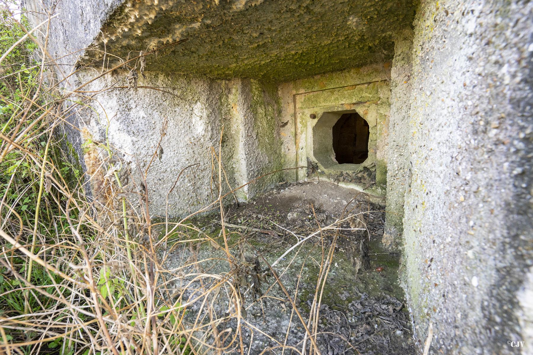 Ligne Maginot - B516 - STATION DE WARGNIES - (Blockhaus pour canon) - Créneau de défense de l'arrière - Lia VERMEULEN