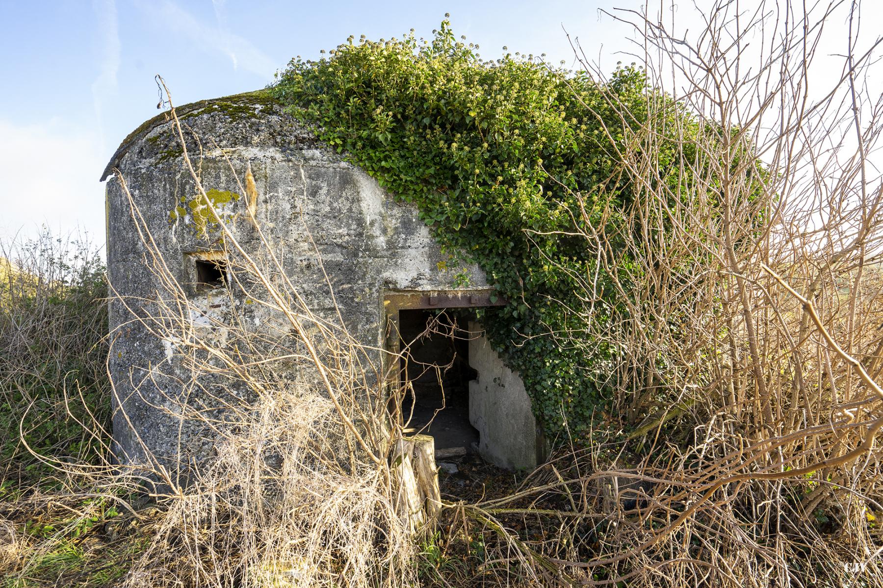 Ligne Maginot - B516 - STATION DE WARGNIES - (Blockhaus pour canon) - L'entrée - Lia VERMEULEN