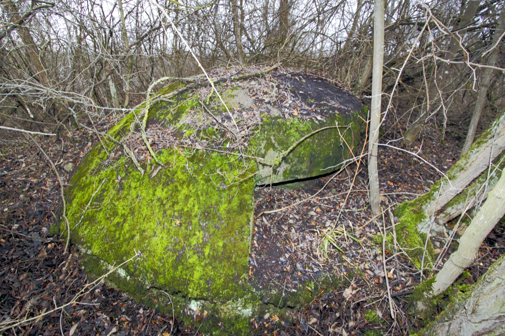 Ligne Maginot - ECLUSE D'HIRTZFELDEN NORD - (Blockhaus pour arme infanterie) - Vue extérieur de la coupole - Les Gardiens du Rhin