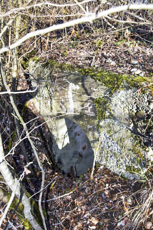 Ligne Maginot - ECLUSE D'HIRTZFELDEN NORD - (Blockhaus pour arme infanterie) - Entrée sud - Daniel Froehly