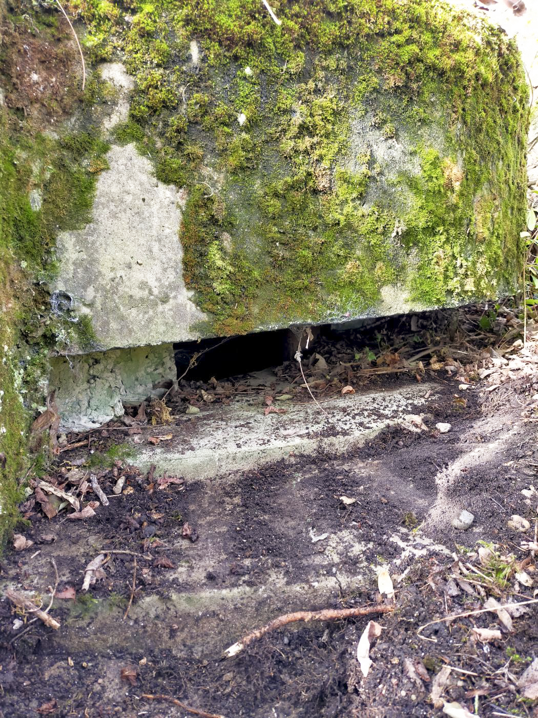 Ligne Maginot - ECLUSE D'HIRTZFELDEN NORD - (Blockhaus pour arme infanterie) - Vue extérieure de la coupole. - Julien Boulanger