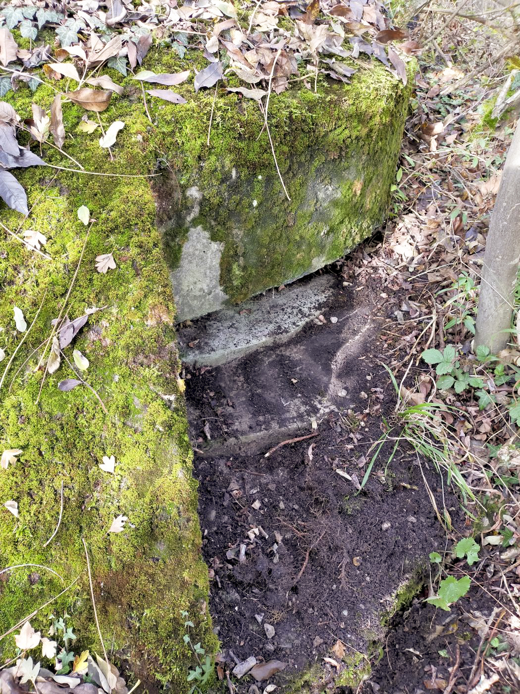 Ligne Maginot - ECLUSE D'HIRTZFELDEN NORD - (Blockhaus pour arme infanterie) - Vue extérieure de la coupole. - Julien Boulanger