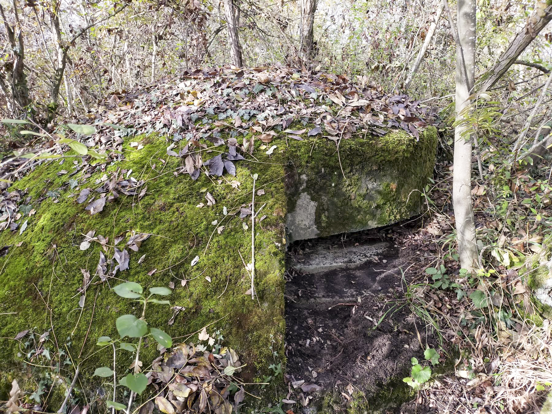 Ligne Maginot - ECLUSE D'HIRTZFELDEN NORD - (Blockhaus pour arme infanterie) - Vue extérieure de la coupole. - Julien Boulanger