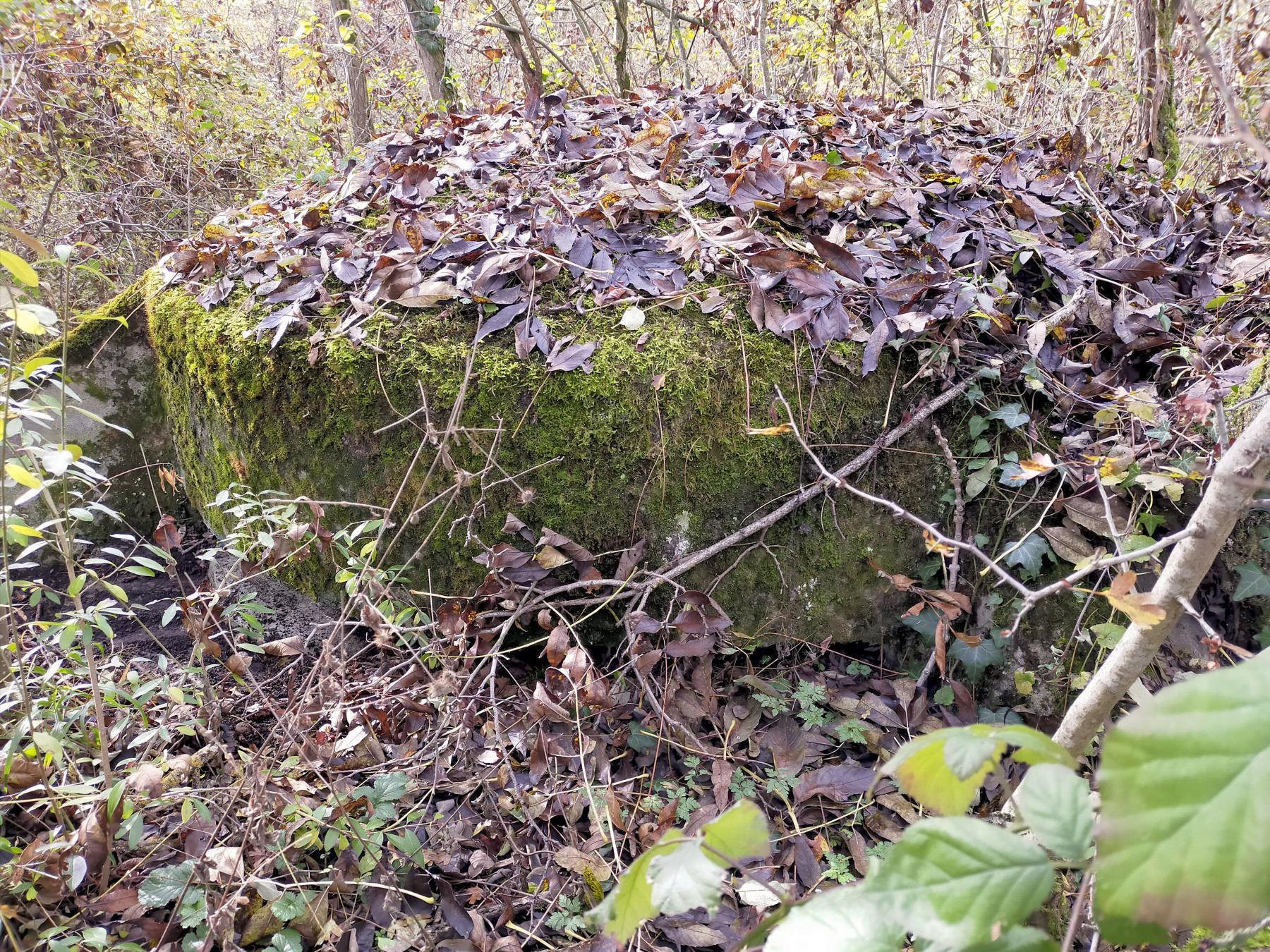 Ligne Maginot - ECLUSE D'HIRTZFELDEN NORD - (Blockhaus pour arme infanterie) - La coupole noyée dans la végétation. - Julien Boulanger