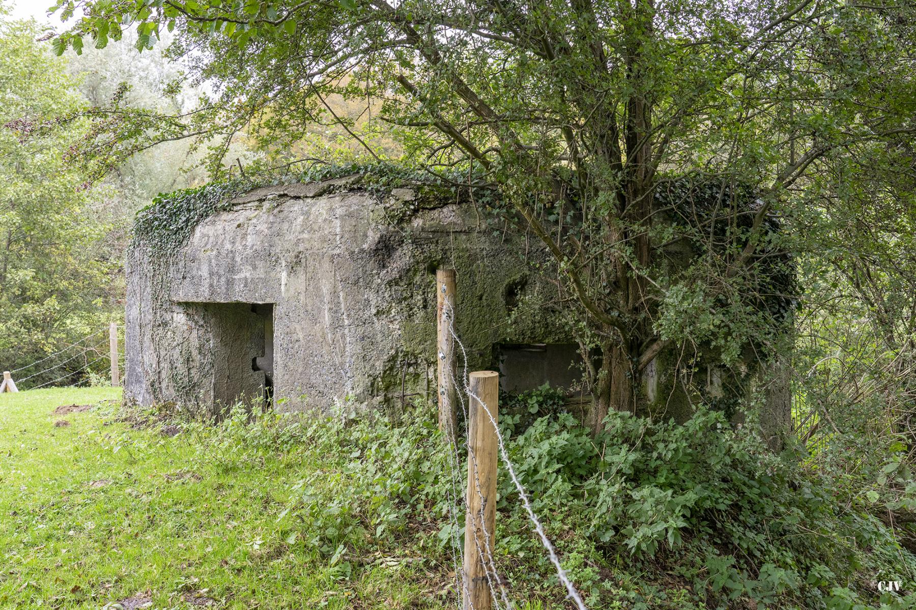 Ligne Maginot - B522 - L'AUNELLE NORD - (Blockhaus pour canon) - Entrée et créneaux sud-est - Lia VERMEULEN