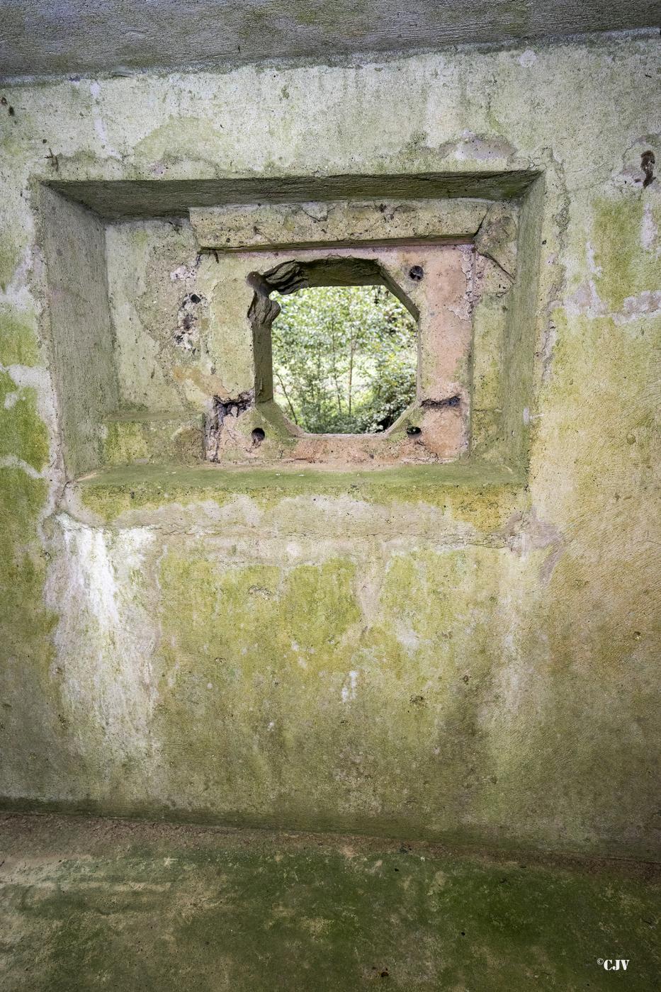Ligne Maginot - B522 - L'AUNELLE NORD - (Blockhaus pour canon) - Le créneau frontal - Lia VERMEULEN