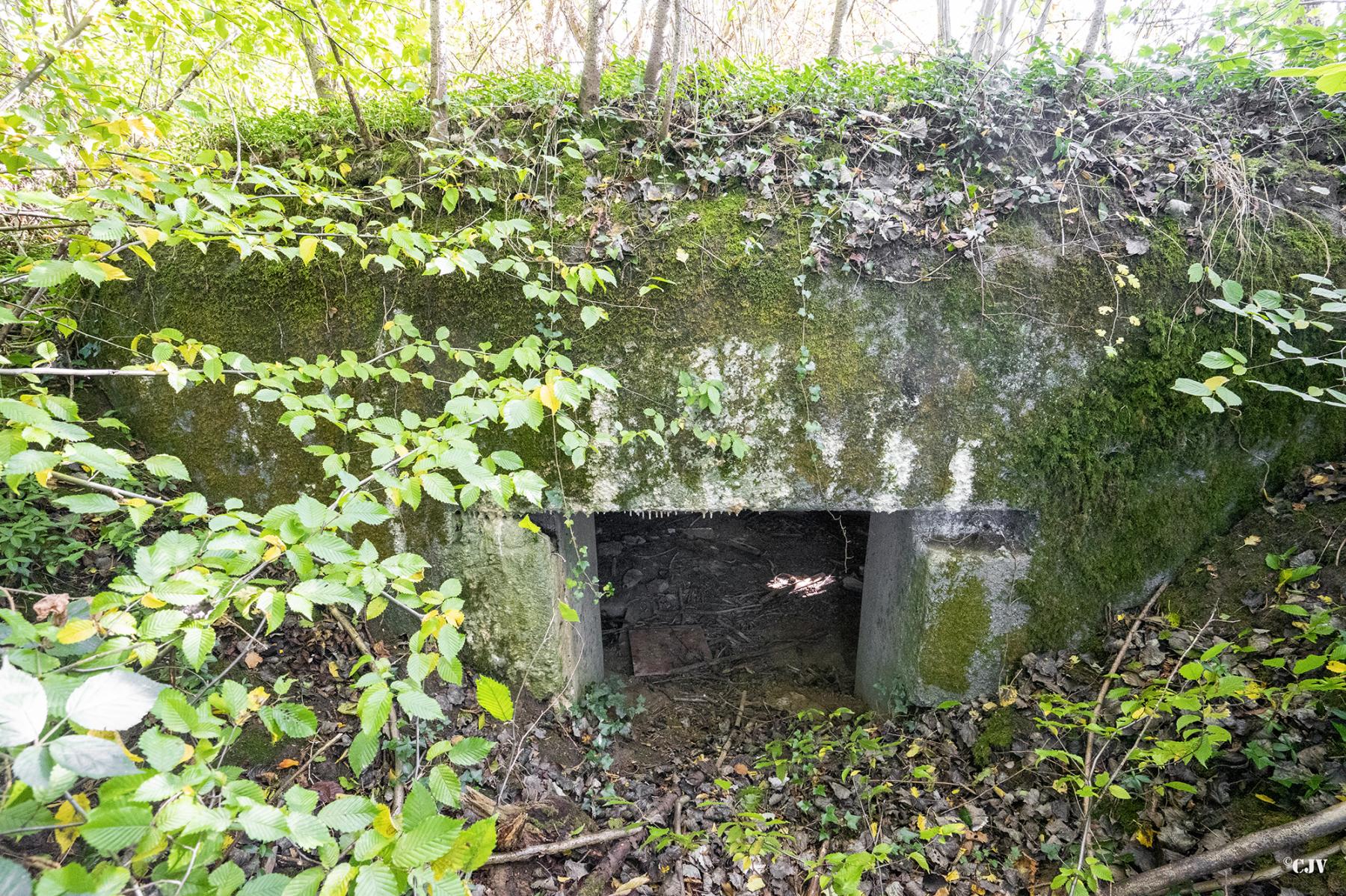 Ligne Maginot - B528 - BOIS DE LA FERRIERE NORD - (Blockhaus pour canon) - L'entrée - Lia VERMEULEN
