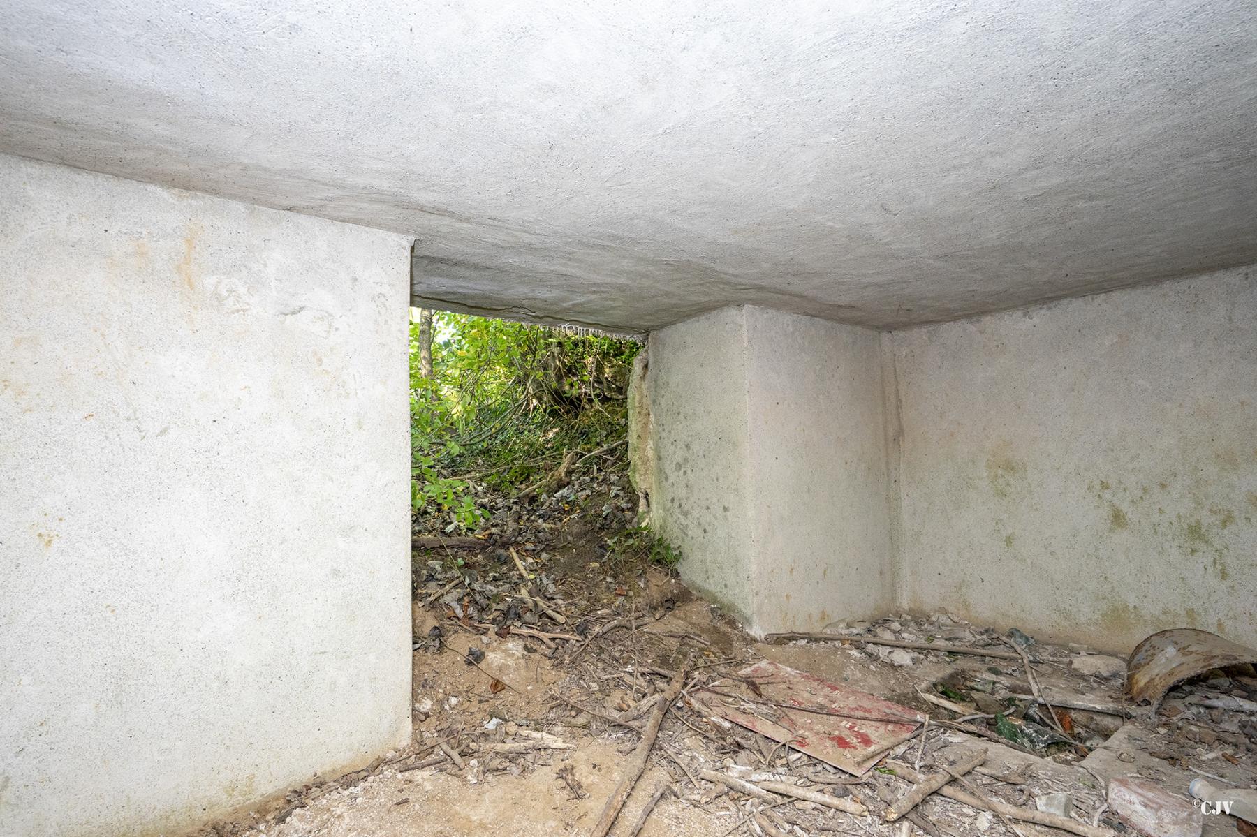Ligne Maginot - B528 - BOIS DE LA FERRIERE NORD - (Blockhaus pour canon) - L'entrée - Lia VERMEULEN